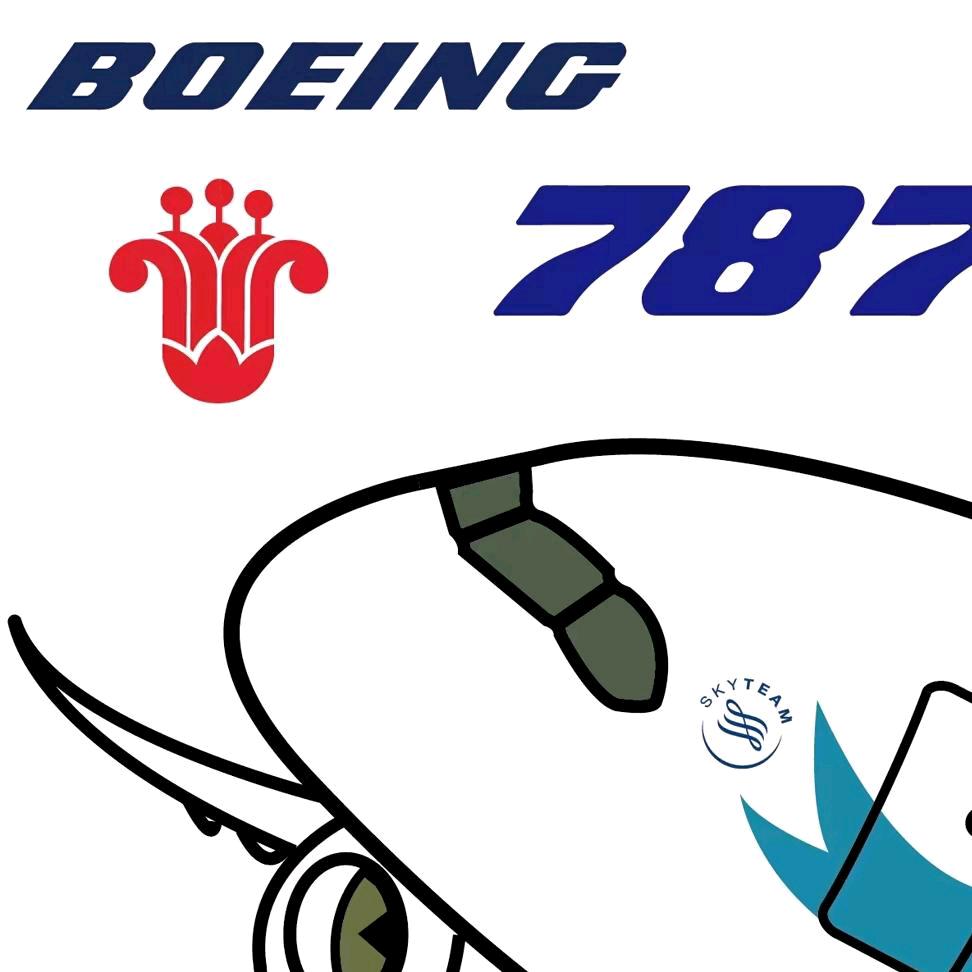 一架南航的787