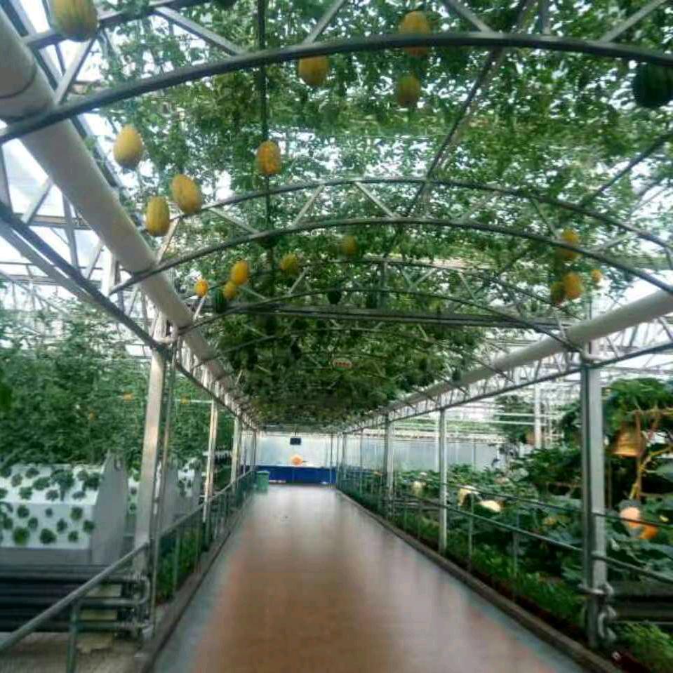 用户5325808472596天天向上