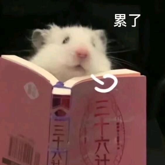 什么芝士蛋糕