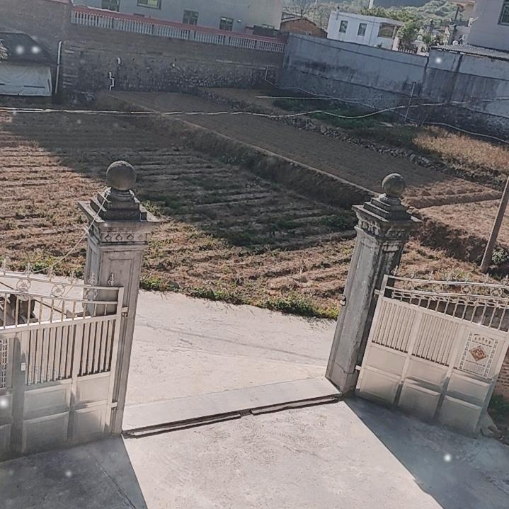 红薯