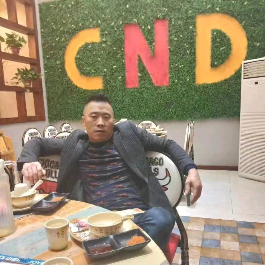 飞出世界的野马