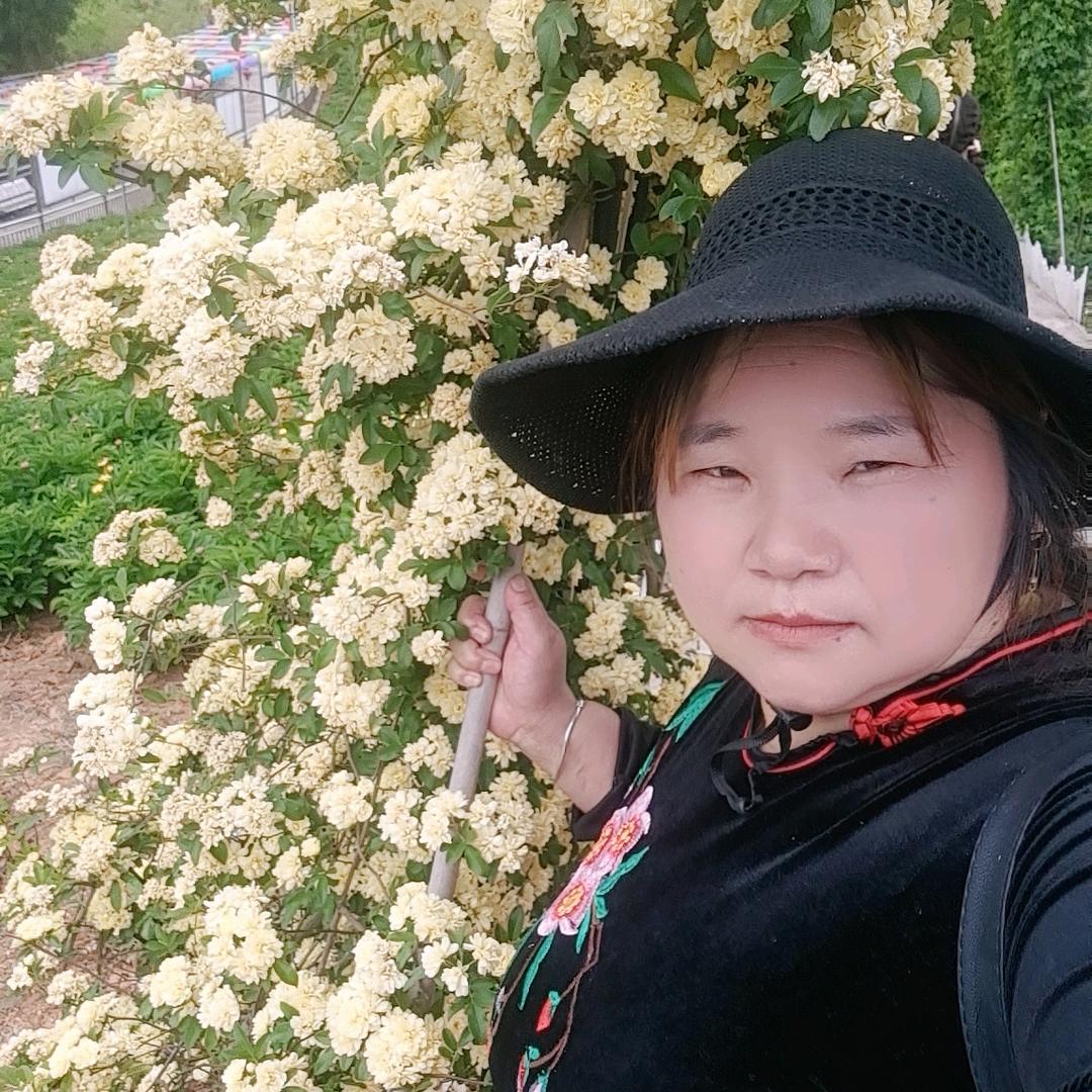 红娘姻缘～牵线搭桥～陈姐