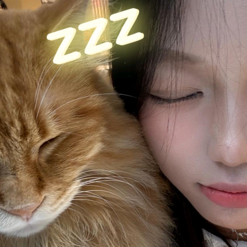 叫我鹊鹊！