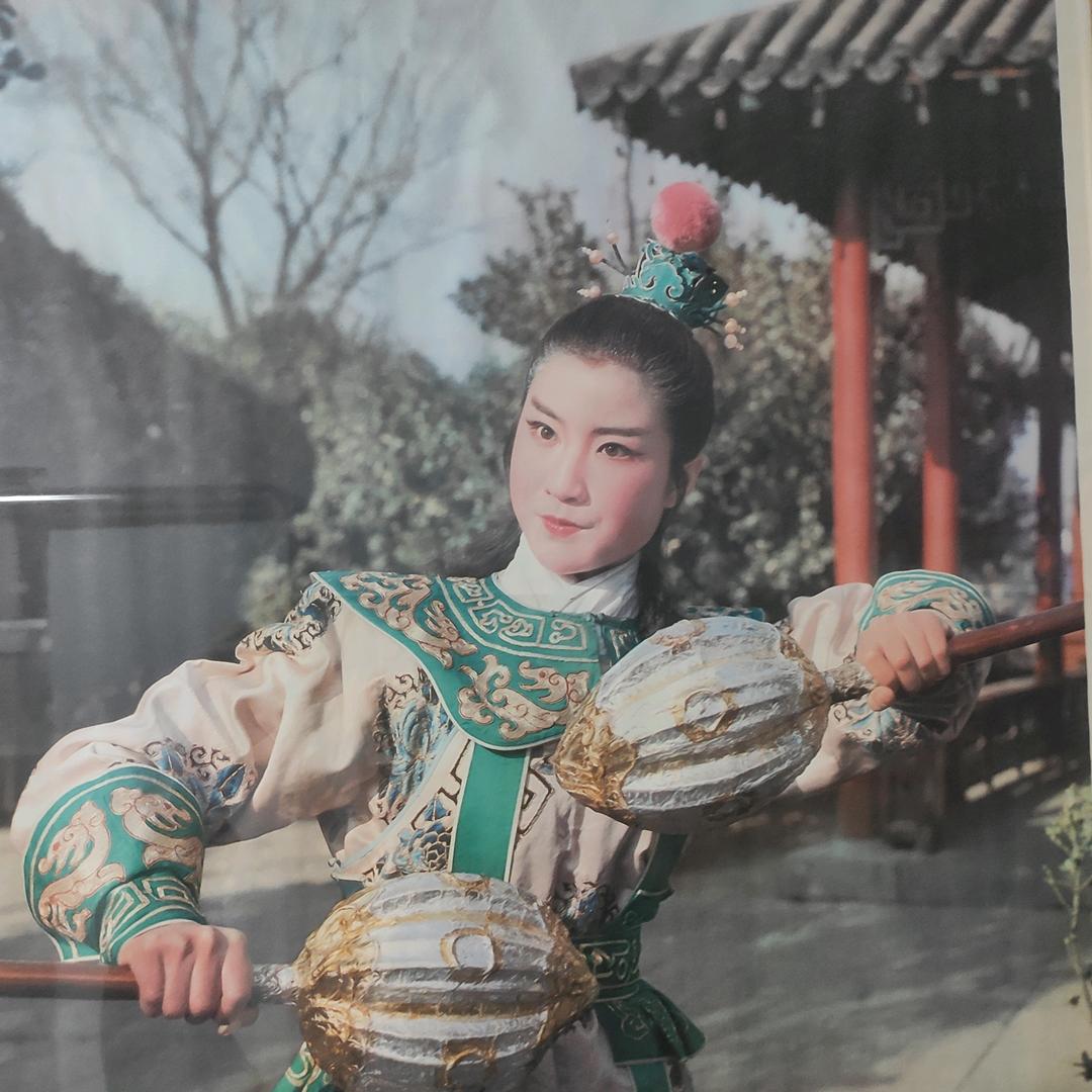 梅子带您游视野