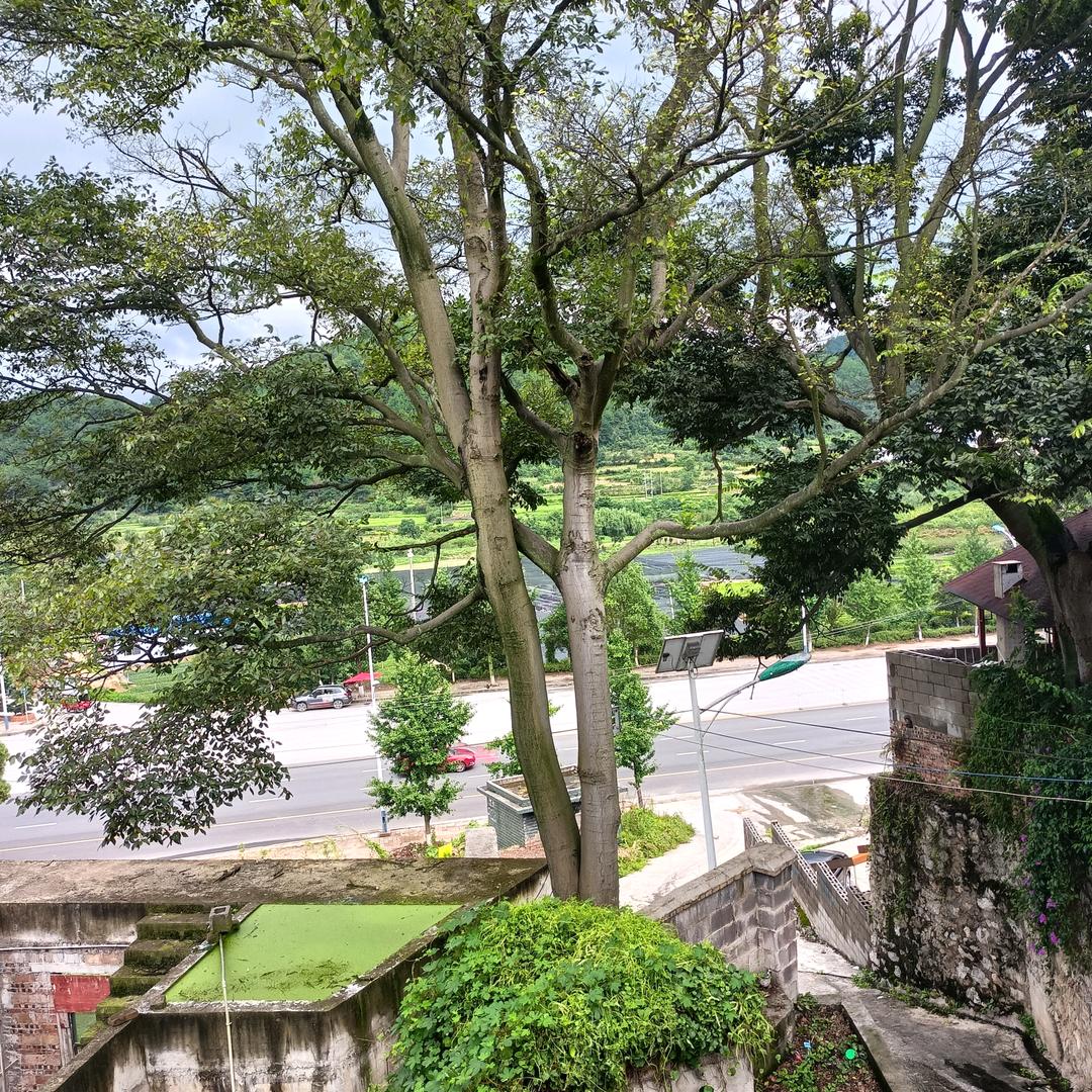 秒回