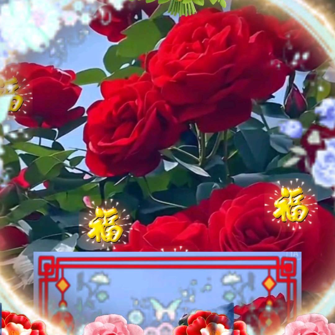 开心快乐(*σ´∀`)σ