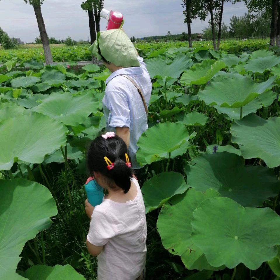 乡村的宝爸