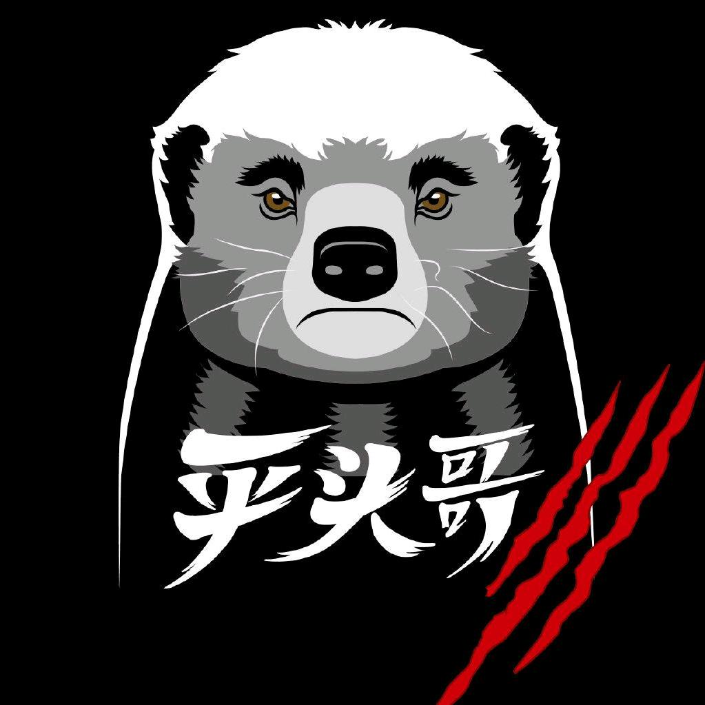 🌈🌈平头宗师