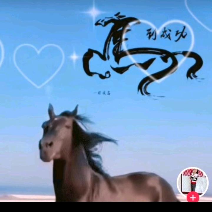 心.光明