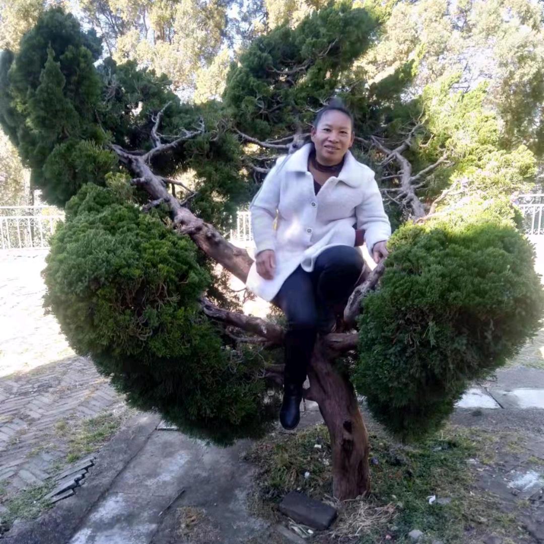 青春的小草