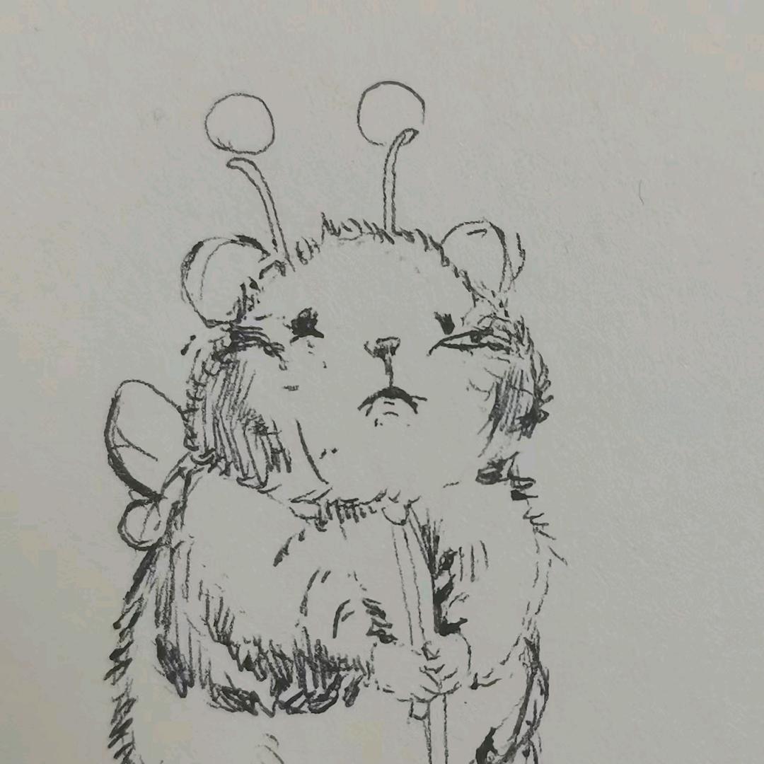 石门柑橘（包邮）