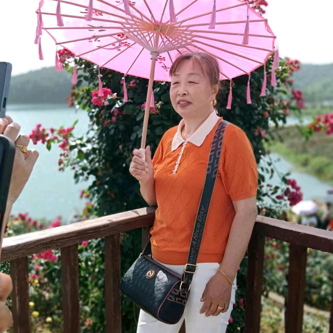 九月菊花