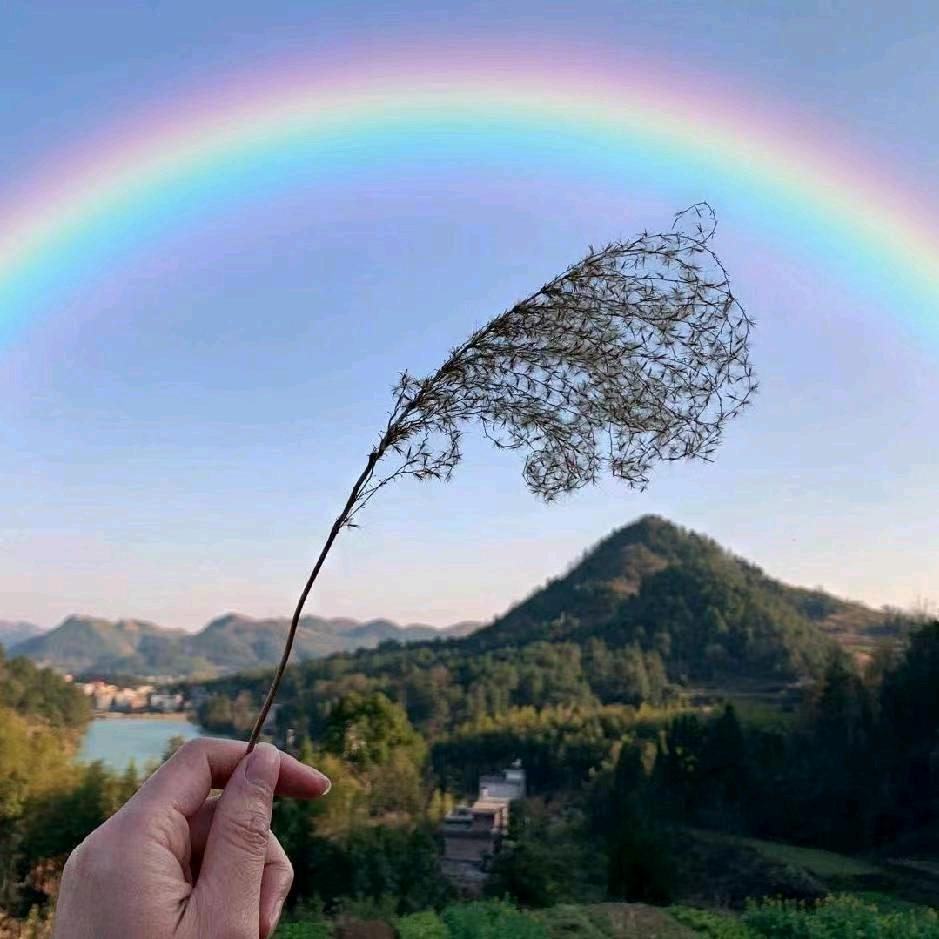 劉一手
