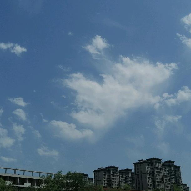 四叶草～