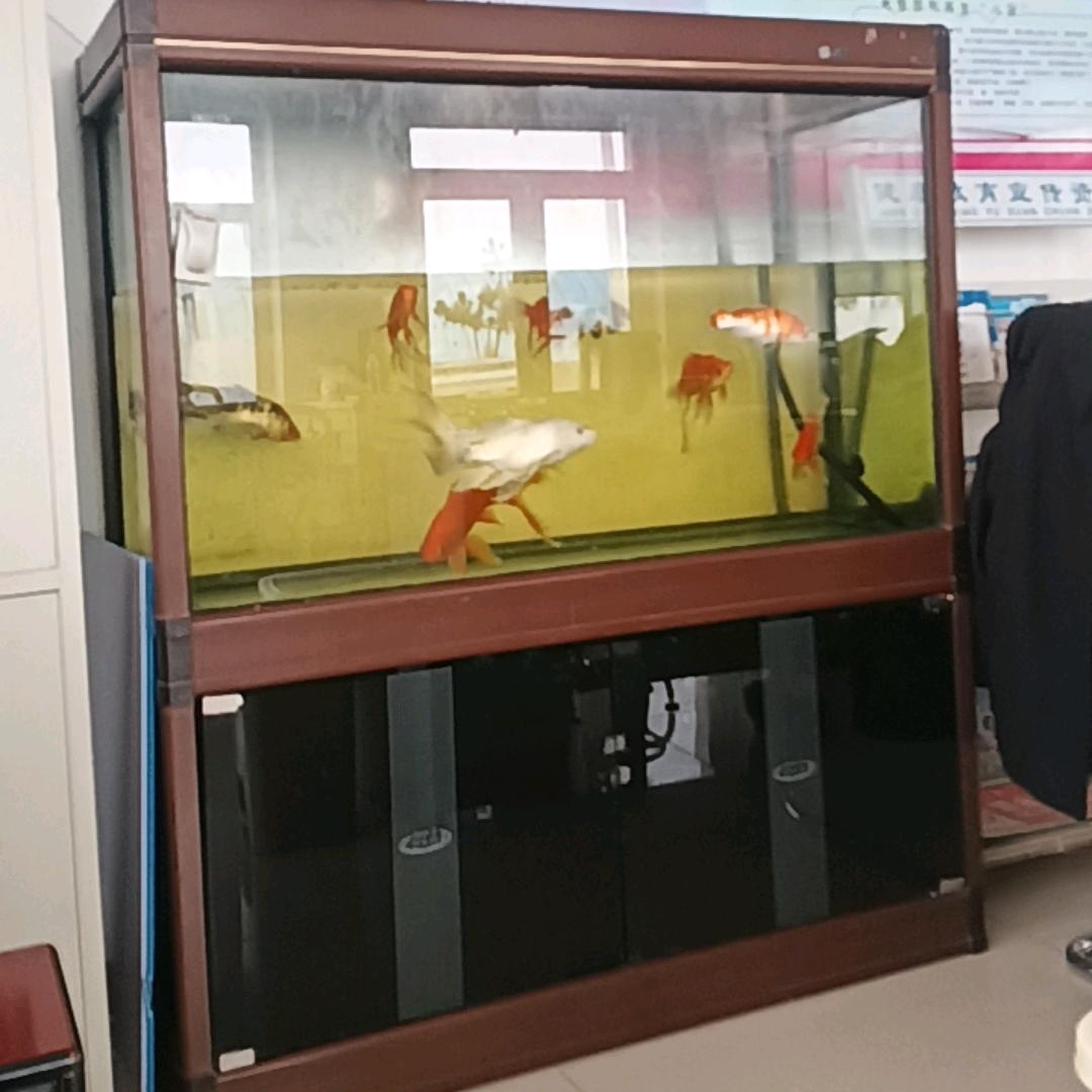 ꧔ꦿ᭄时代꧔ꦿ᭄