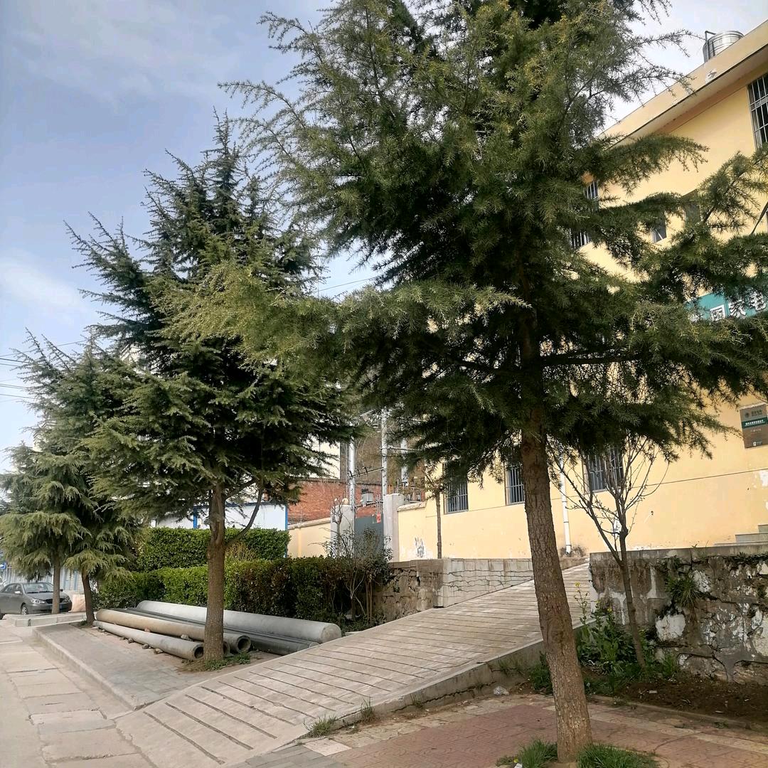 用户686631善待自己