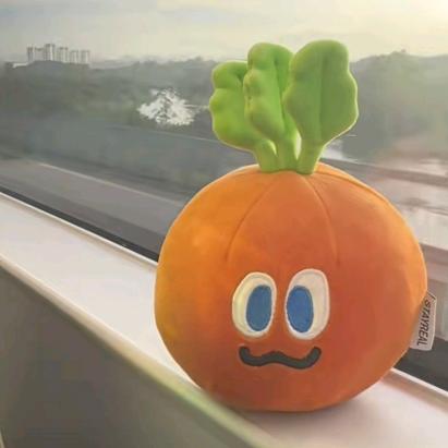 王者菜鸡