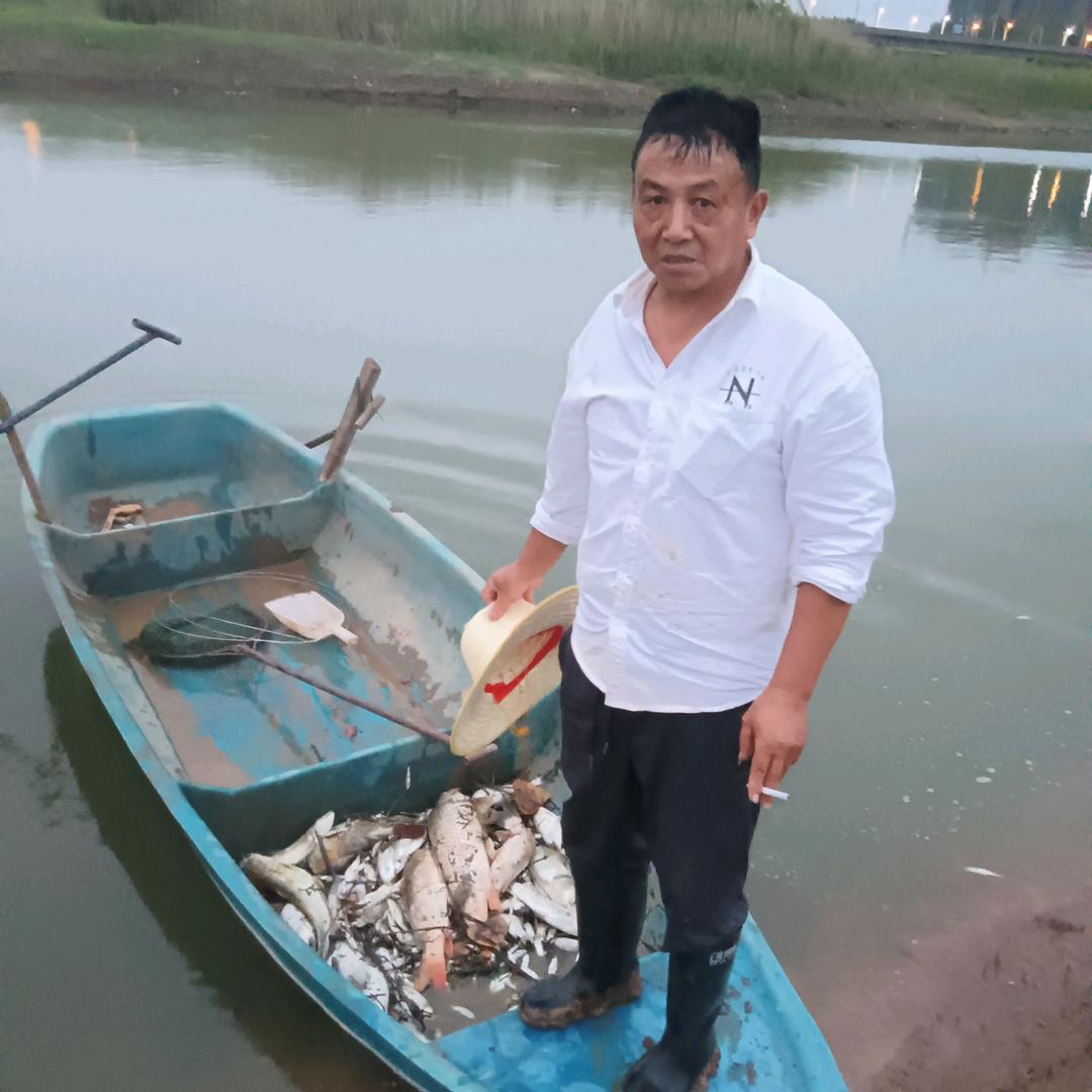 陈忠清