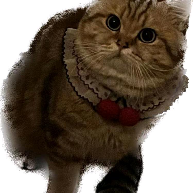 秋韵