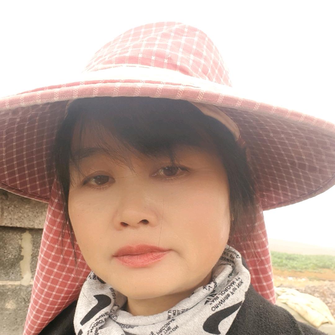 橙子代收