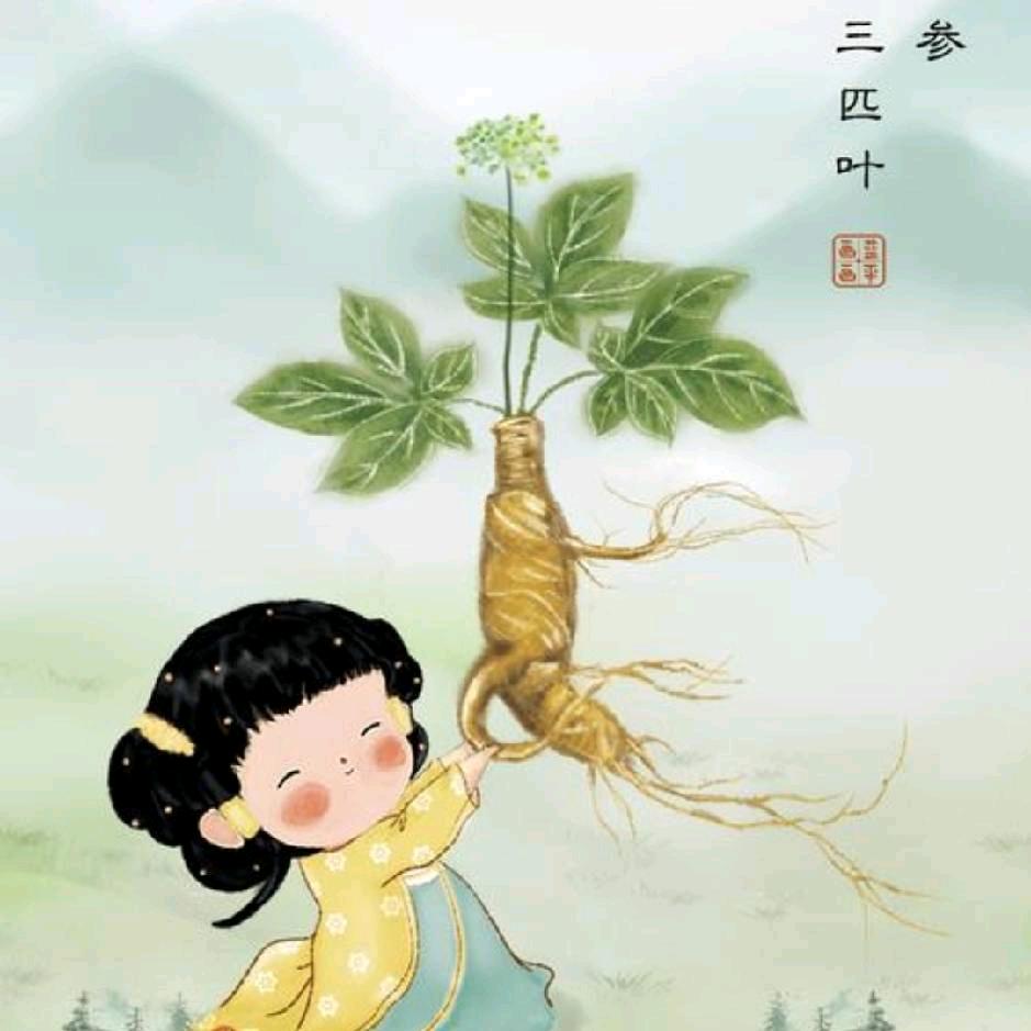 霞～爱中医吉林土特产