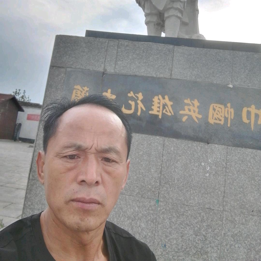 自由的飞翔