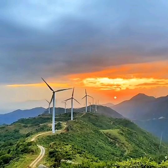 小侨旅行记