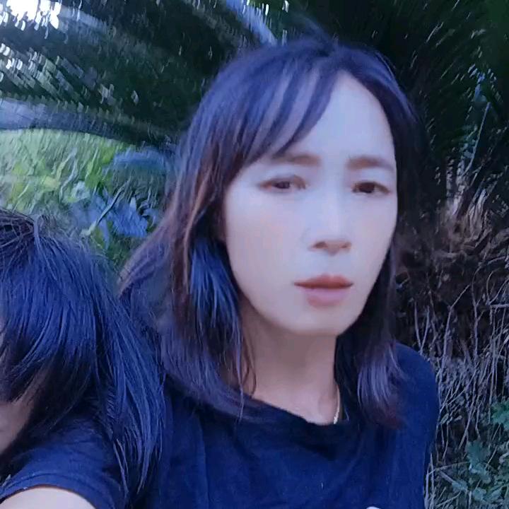杜鹃花1208