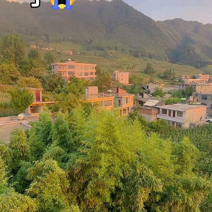花草平淡