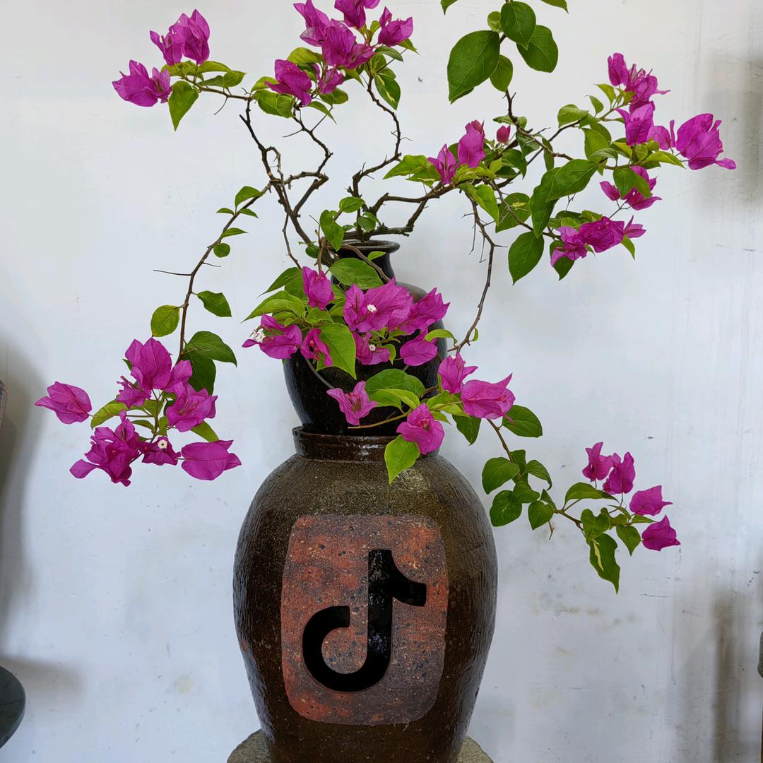 破坛∽葫芦