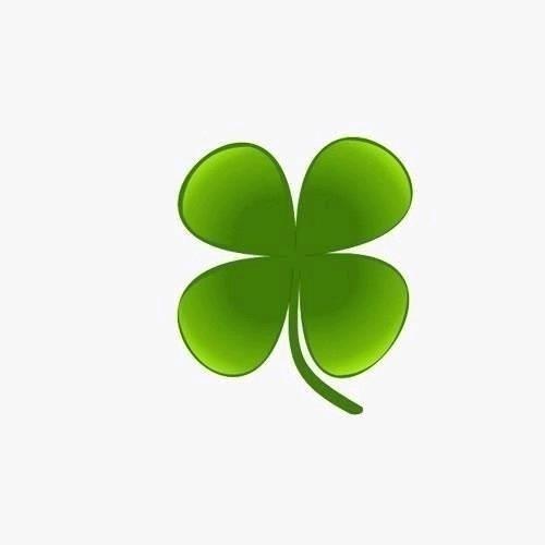 洒脱.🍀