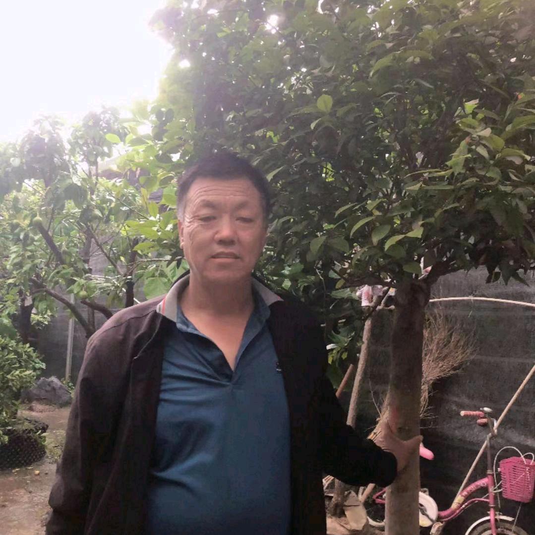 农村李哥5