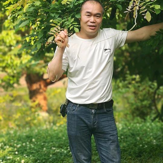 黑哥
