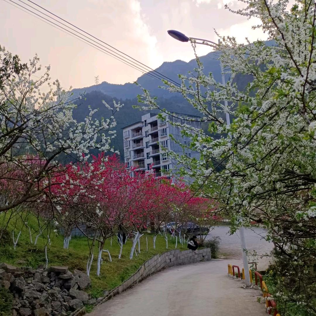 忘记过去展望未来