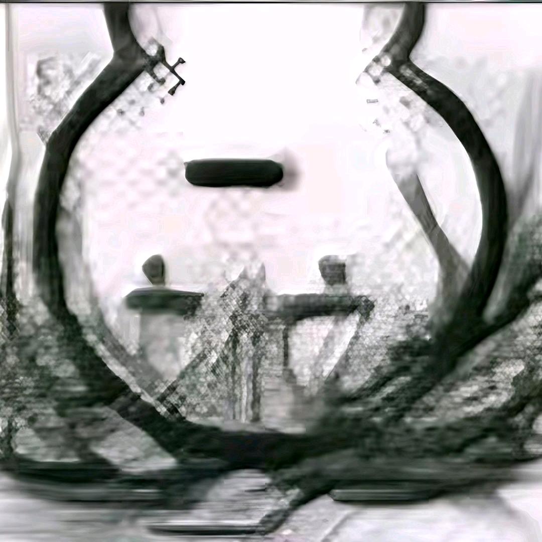 鱼爱吃驴
