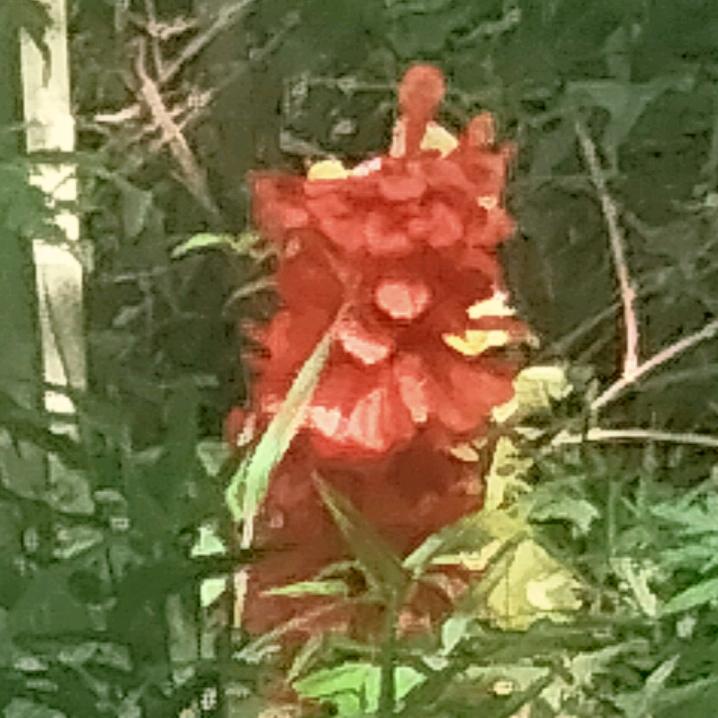 馜沐头像