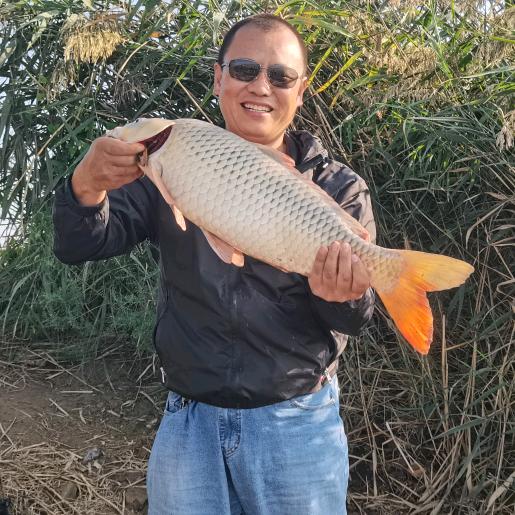 排骨鱼（衡水）