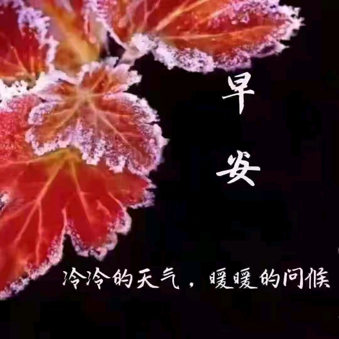 爱心