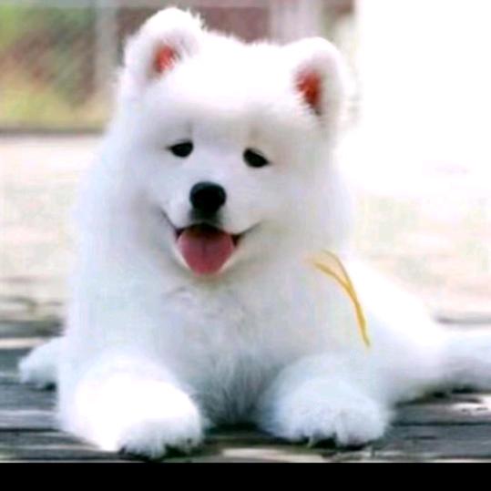 顺其自然🌴🌴🌴