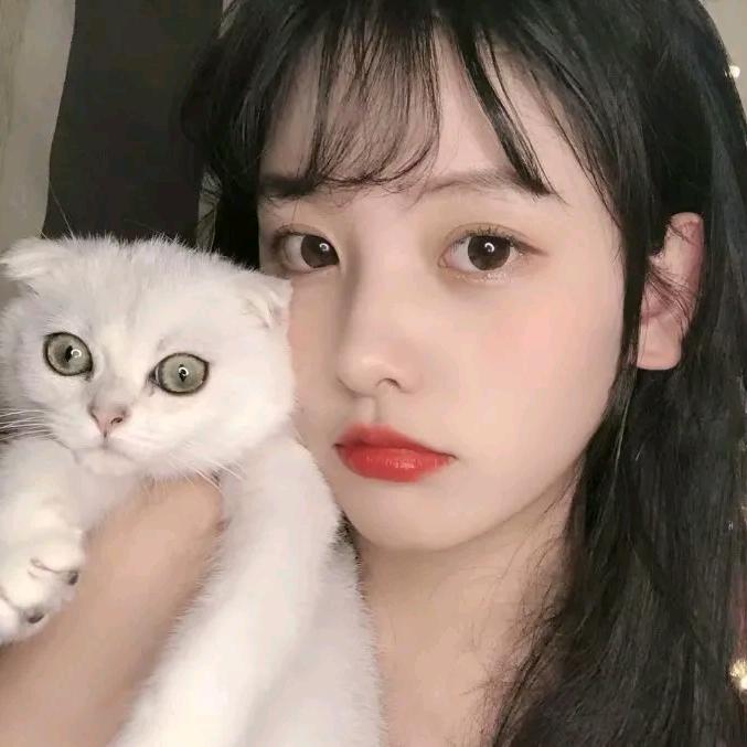 小白白好物