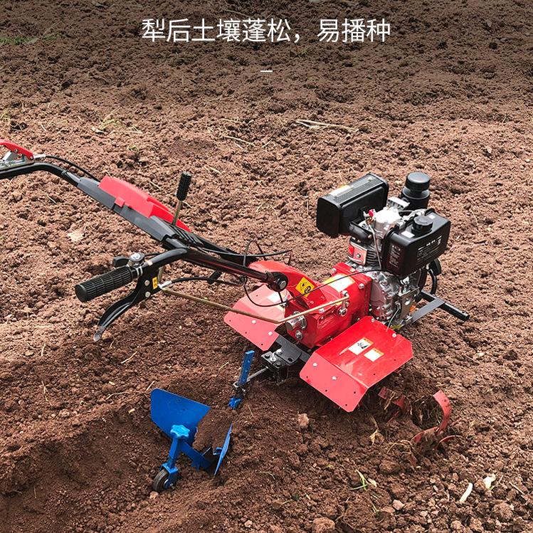 农家小妹
