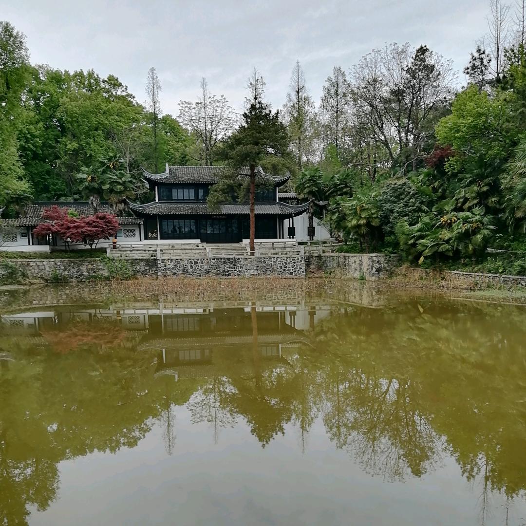 🏵一切随缘💞