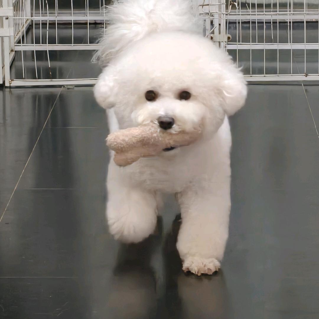 萌萌家
