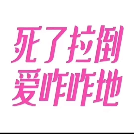 呆呆鱼
