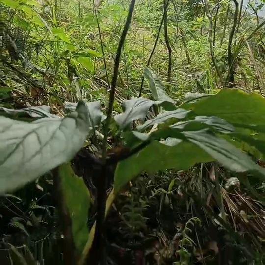 心存暖人