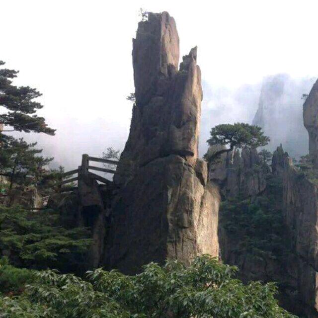 强哥倪好