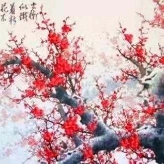 苳林林