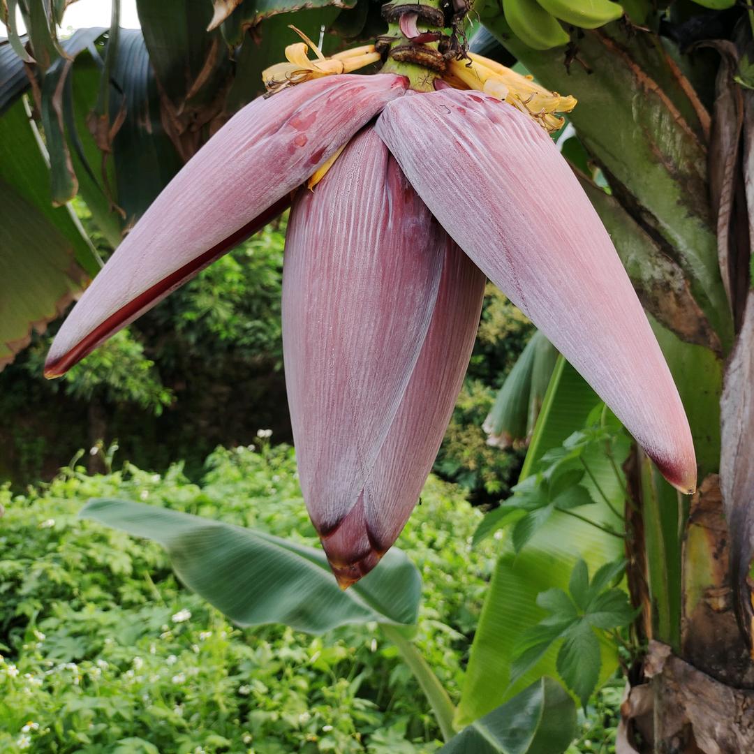 阳光总在风雨后🌈