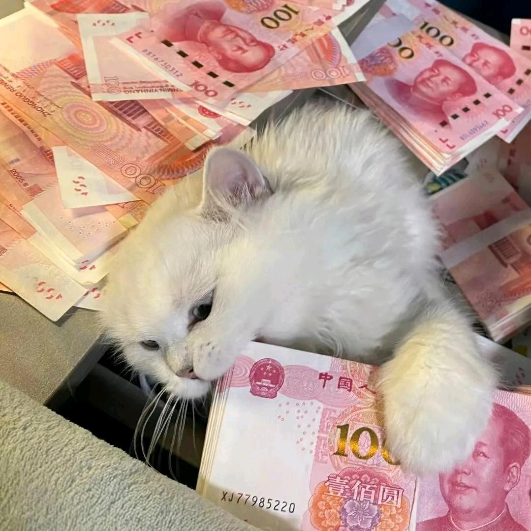 现在还不晚