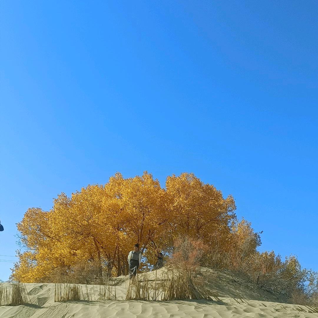 十七户房地产